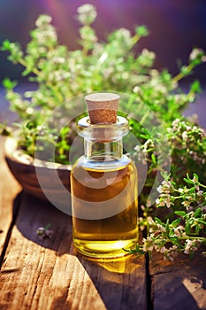 Thyme essential oil in a bottle. Generative AI,