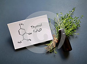 Thyme essential oil with fresh green thyme twigs and chemical formula of thymol. Beauty, spa concept.