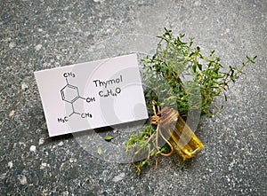 Thyme essential oil with fresh green thyme twigs and chemical formula of thymol. Beauty, spa concept.