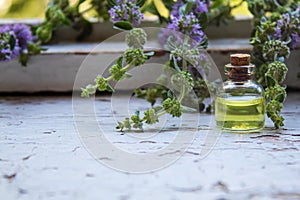 Thyme essential oil in a small bottle. selective focus