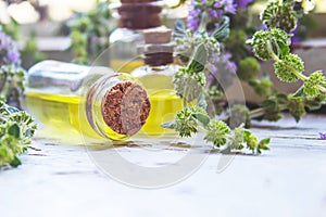 Thyme essential oil in a small bottle. selective focus