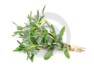 Thyme fresh herb