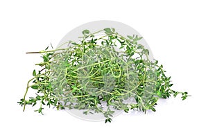 Thyme fresh herb closeup isolated on white background.