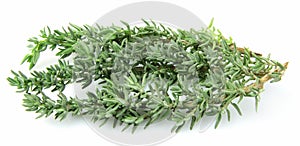 Thyme herb