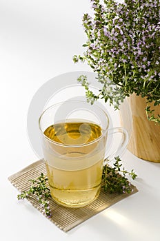 Thyme Herbal Tea