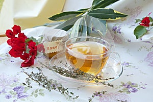 Thyme herbal tea