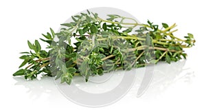 Thyme Herbs