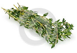 Thyme Herbs