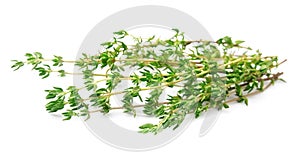 Thyme herbs close up