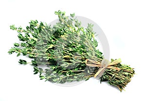 Thyme herbs