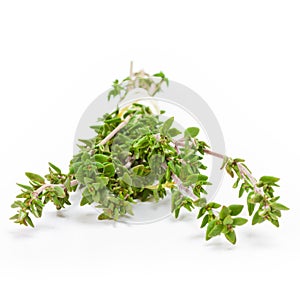 Thyme isolated