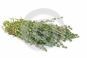 Thyme isolated