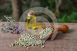 thyme(Oregano) essential oil and Heap of dry thyme in wooden spoon and in bowl on wooden background.