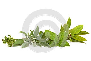 Thyme, Sage, Oregano and Bay Herbs