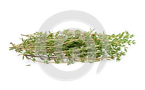 Thyme sprigs isolated on a white background