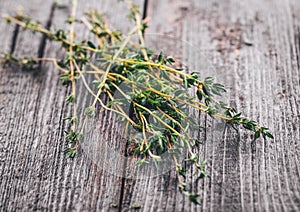 Thyme on wood background close-up