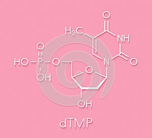 Thymidine monophosphate TMP, thymidylate nucleotide molecule. DNA building block. Skeletal formula. photo