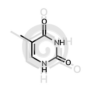 Thymine chemical formula