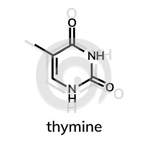 Thymine chemical formula