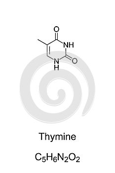 Thymine, T, Thy, nucleobase, chemical formula and skeletal structure photo