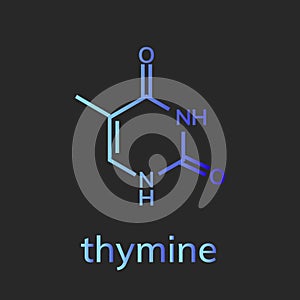 Thymine chemical formula