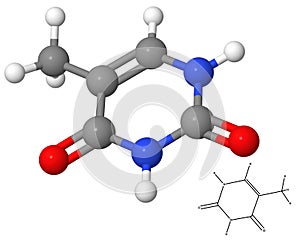 Thymine molecule with chemical formula