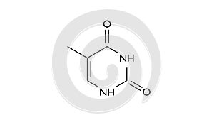 thymine molecule, structural chemical formula, ball-and-stick model, isolated image nucleobases