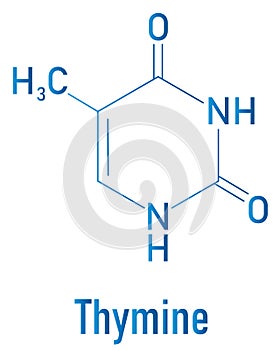 Thymine nucleobase molecule. present in DNA. Skeletal formula.