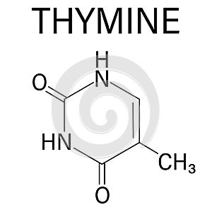 Thymine nucleobase molecule. present in DNA. Skeletal formula.