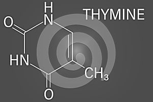 Thymine nucleobase molecule. present in DNA. Skeletal formula.
