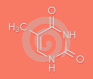 Thymine T nucleobase molecule. present in DNA. Skeletal formula.