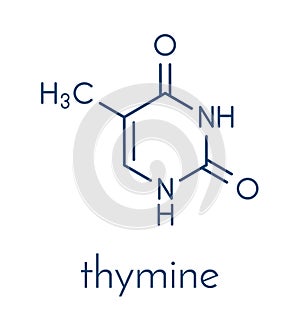 Thymine T nucleobase molecule. present in DNA. Skeletal formula.