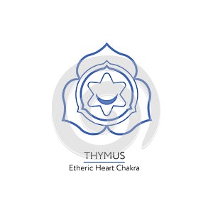 Thymus - the chakra of human body.