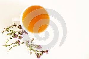 Thymus pulegioides tea and leaves. Tea is effective during diseases of the upper respiratory tract.Medicinal herb .The