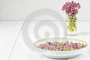 Thymus serpyllum, thyme, wild thyme