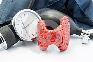 Thyroid and blood pressure. Anatomical model of thyroid gland is near sphygmomanometer with bulb and inflated cuff. Concept photo