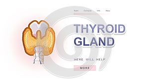 Thyroid gland banner concept vector