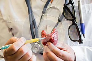 Thyroid gland and doctor. Doctor in white medical lab coat with stethoscope around his neck shows and indicates to the patient on