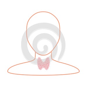 Thyroid gland organ on body silhouette icon