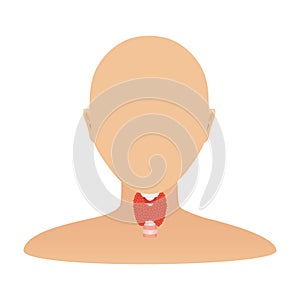 Thyroid gland organ on body silhouette icon