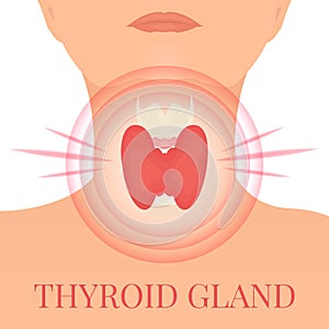 Thyroid gland in a pain target