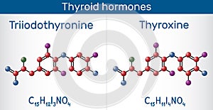 Thyroid hormones: Triiodothyronine, T3, levothyroxine and Thyroxine, T4 molecule. Used to treat hypothyroidism. Molecule model photo