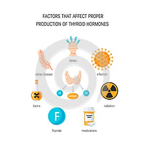 Thyroid hormones vector