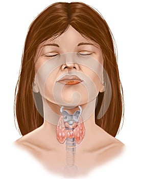 Thyroid photo