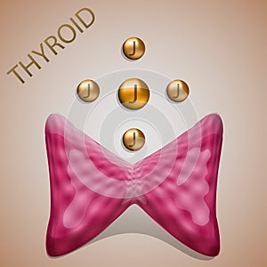 Thyroid, iodine