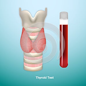 Thyroid Test. Medical Symbol Of Endocrinology System Or Hormone Secretion. Vector Illustration.