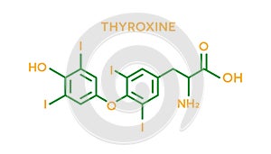 Thyroxine hormone molecular formula. Human body hormones symbol
