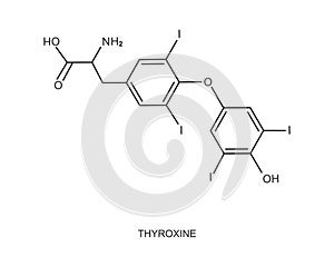 Thyroxine icon. Chemical molecular structure. Major endogenous hormone secreted by the thyroid gland. Vector outline photo