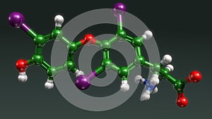 Thyroxine structure photo