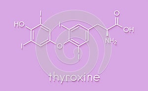 Thyroxine (T4, levothyroxine) thyroid hormone molecule. Prohormone of thyronine (T3). Used as drug to treat hypothyroidism.